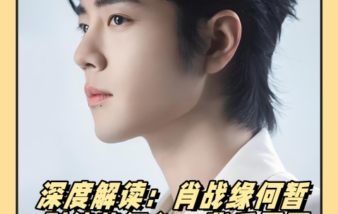 爱游戏体育-TheShy重返赛场，出色发挥首场状态出色，瑞士队观众沸腾！